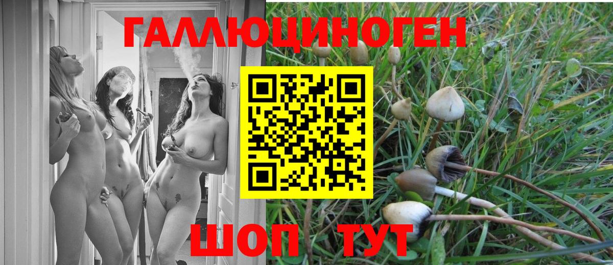 Псилоцибиновые грибы мицелий Омск